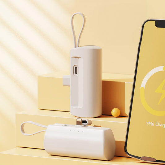 باور بانك 10000